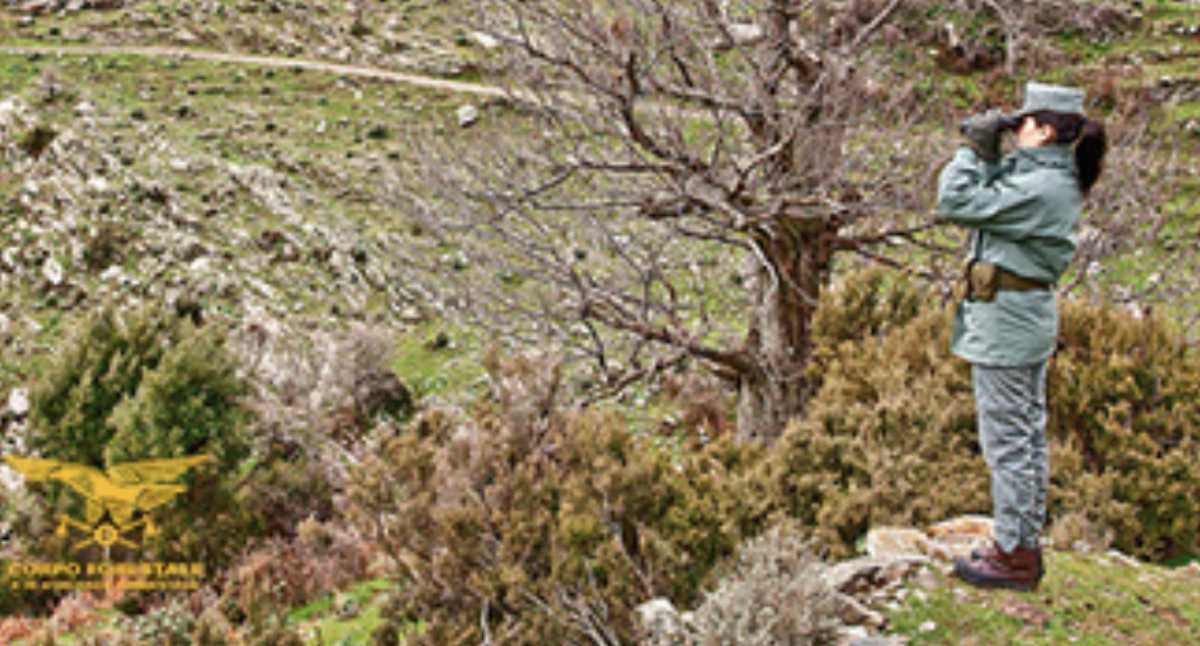 controlli-corpo-forestale-sequestro-uta